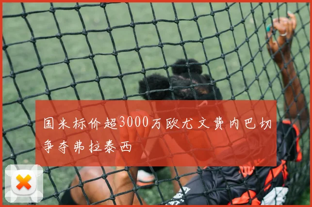 国米标价超3000万欧尤文费内巴切争夺弗拉泰西