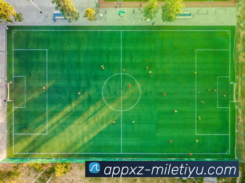 米乐体育平台生态图