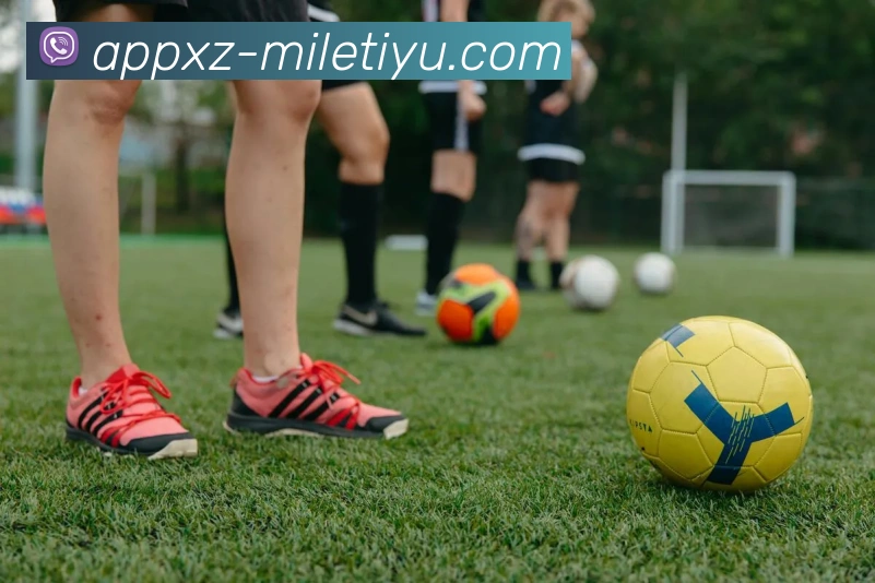 米乐体育全站App