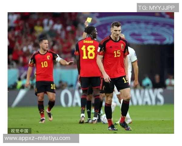 纳因戈兰谈与加西亚教练的良好关系及比利时晋级世界杯的信心