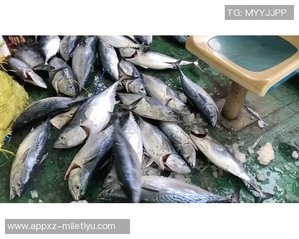 拉什福德分享海钓乐趣笑容灿烂展现多彩业余生活